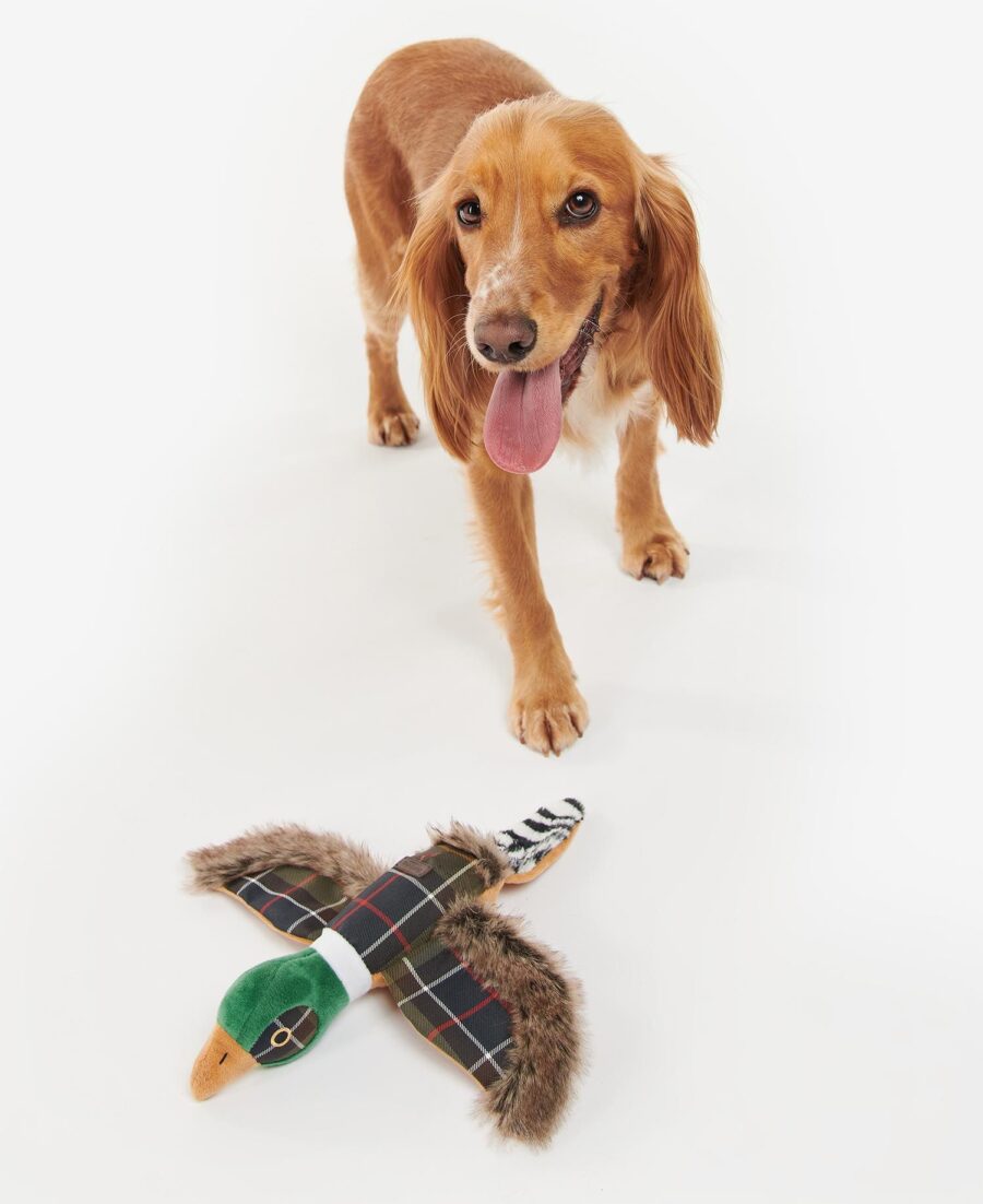 Barbour Pheasant Dog Toy-Classic