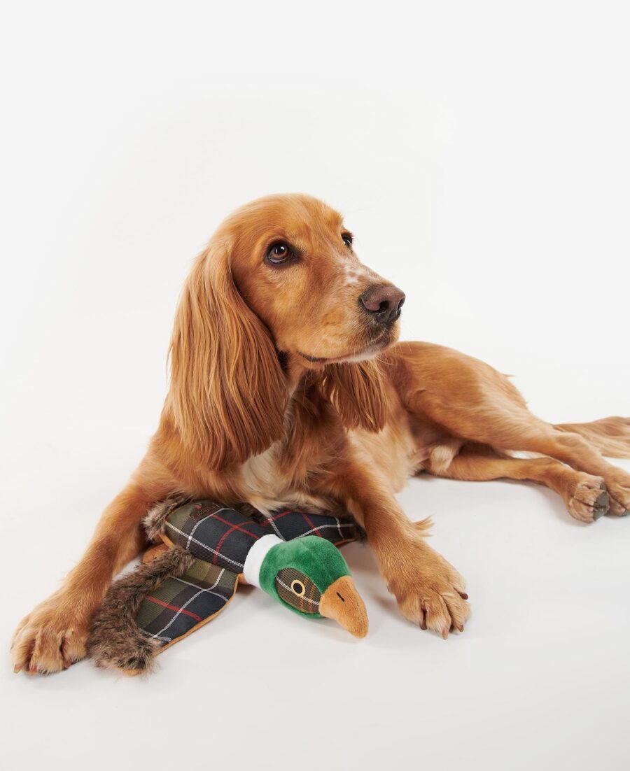 Barbour Pheasant Dog Toy-Classic