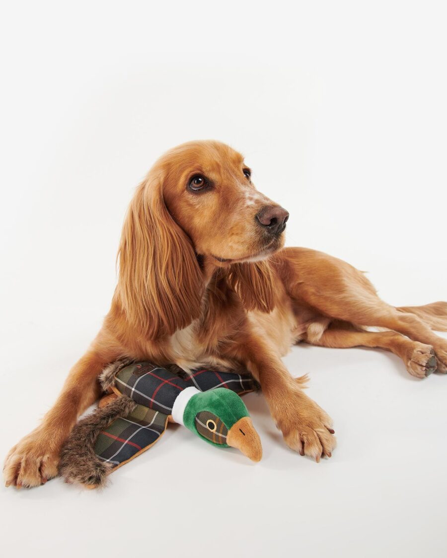 Barbour Pheasant Dog Toy-Classic