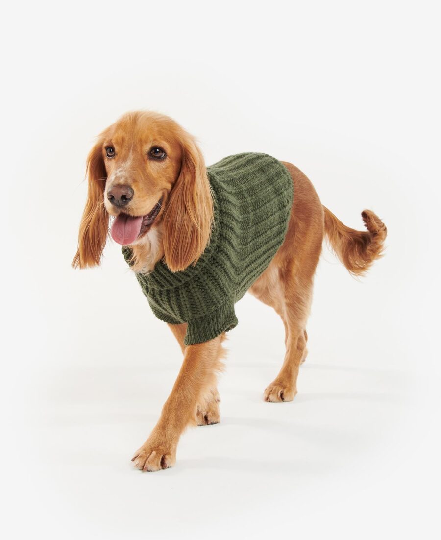 Barbour Saltburn Dog Jacket-Olive