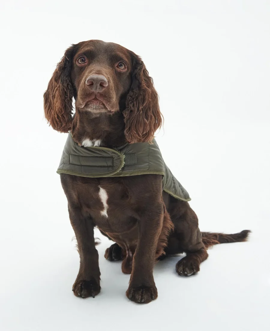 Barbour Baffle Quilted Dog Coat-Olive